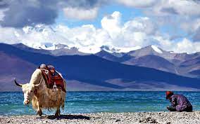 Namtso Lake 